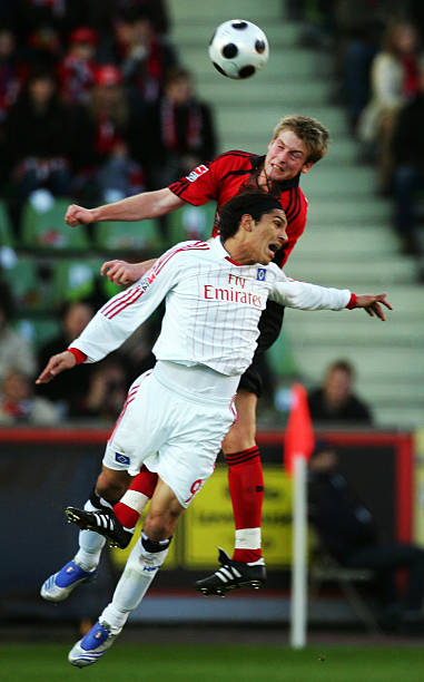 的财政回报 的财政回报